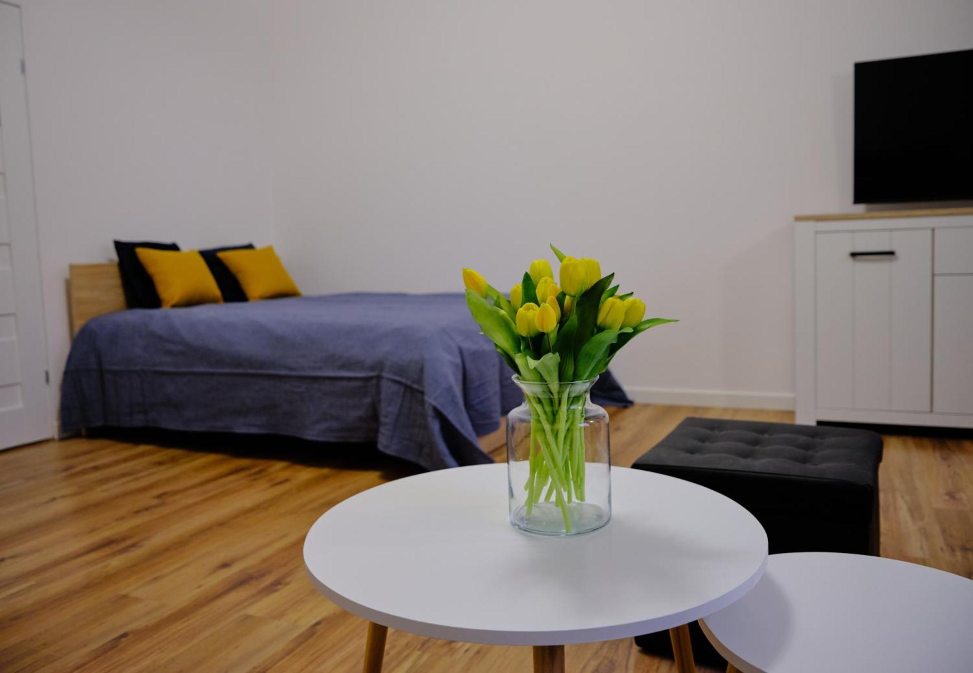 Urania Apartamenty Kowary Værelse billede